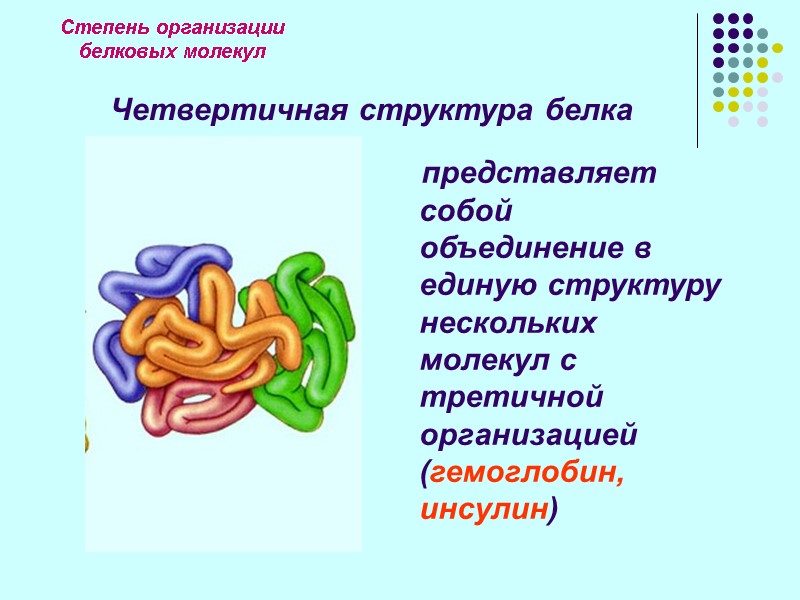 Степень организации  белковых молекул Четвертичная структура белка     представляет собой